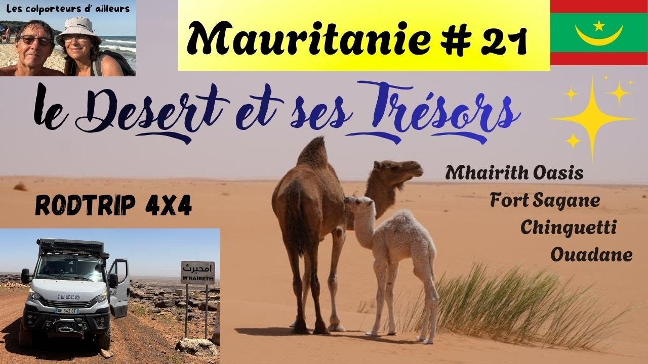 #mauritanie #desert #roadtrip #offroad:  les Joyaux du désert Mauritanien.#ivecodaily4x4 #camper4x4