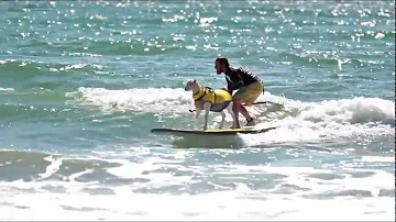 Pismo The Kid: The Big Wave Surfing Goat