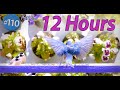 Birds for cats to watch 12 hours uninterrupted birds only calming nature no ads interrupting