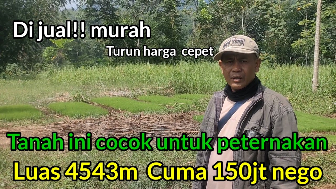 Di jual Murah‼️ saja Pengen Umroh Luas 4543meter Rp 150jt Nego sedikit