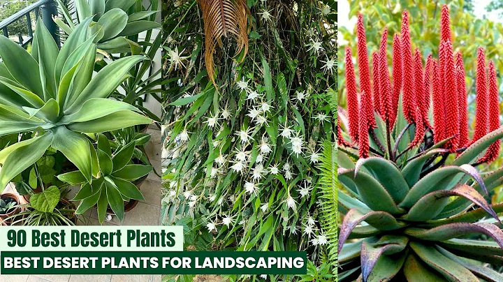 90 Best Desert Plants thumbnail