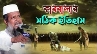 কারবালার সঠিক  ইতিহাস । তোফাজ্জল হোসেন ভৈরবী । tofazzal hossain bhairovi | bangla waz |