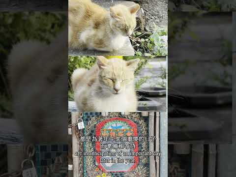 Travel around HK35 - Visiting the Forgotten Urban Villages at Pokfulam, HK