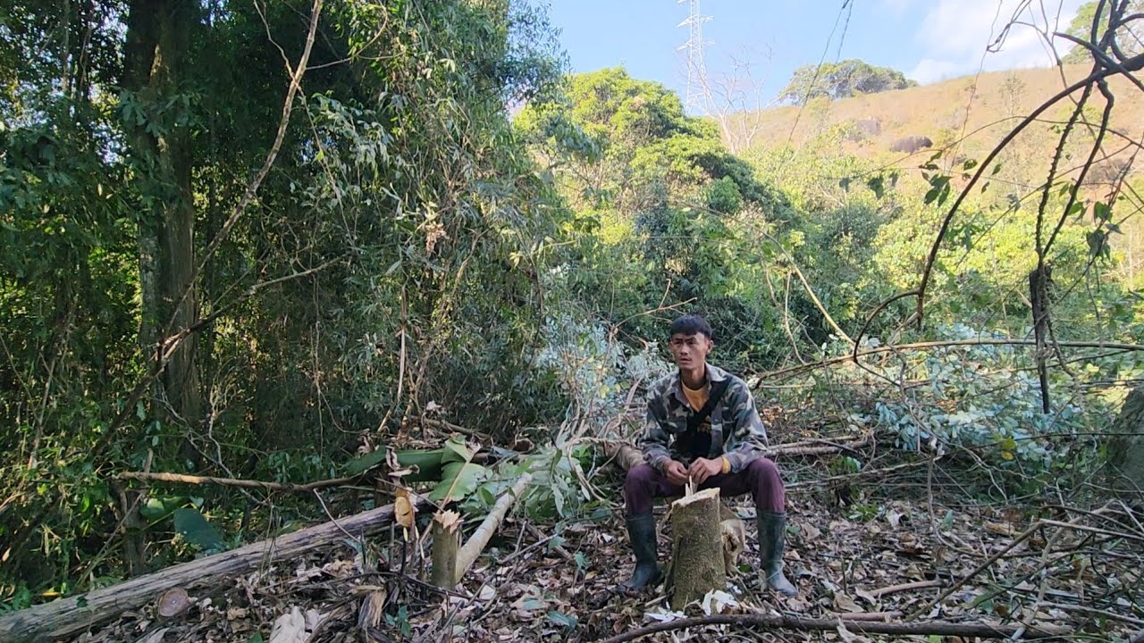 Peb luaj kuv cov teb npleg no tsi tag thiab os 14 /2/2026