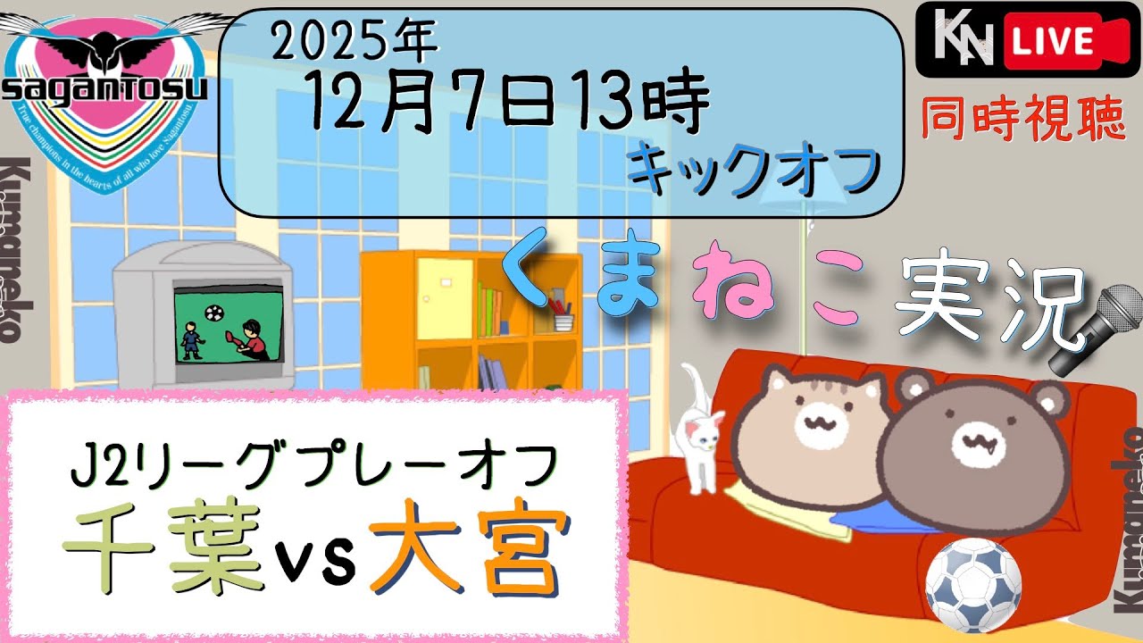 千葉対大宮 ホーム自由席 チケット 2枚J2プレーオフ 5/31(日)プレーオフラウンド1回戦（相手未定）】チケット販売情報