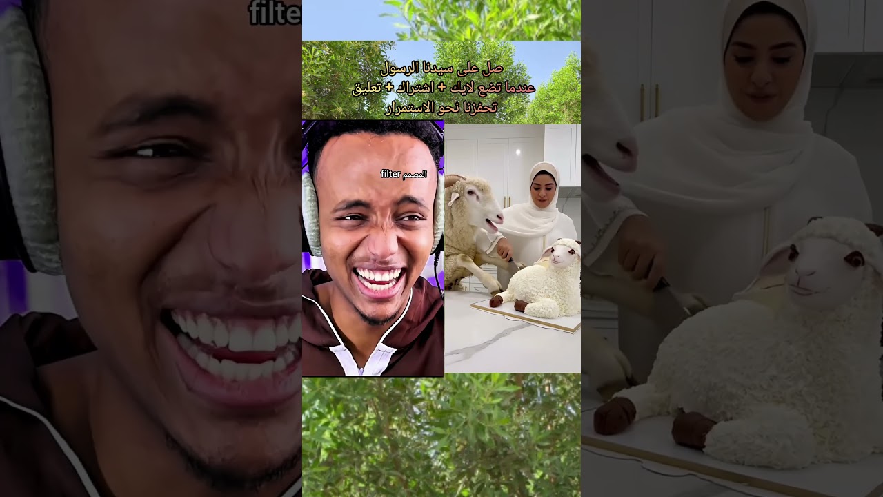 رده فعل ابوفله 😱 لحظة اكتشف الخروف الحقيقة ان شبيهة كعكة بعد فوات الأوان شاهد رده فعلة!😆#تحشيش #edit