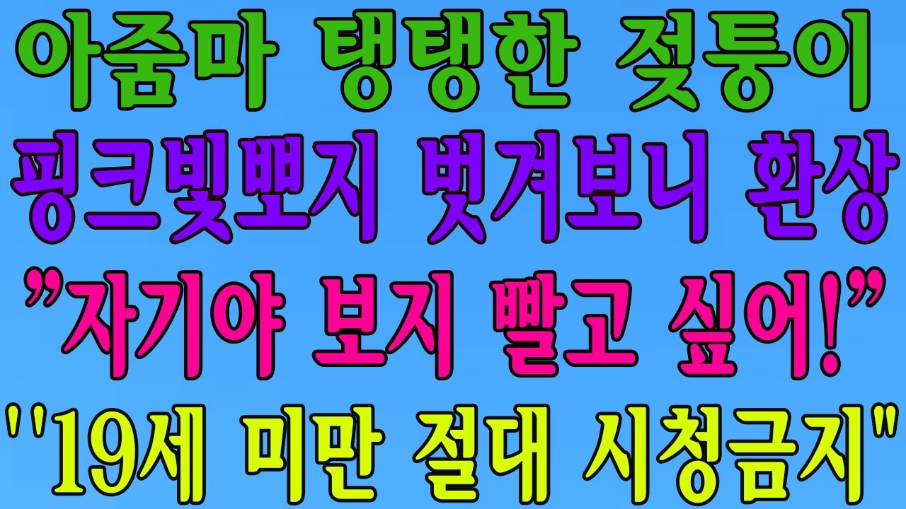 당근마켓에서 공기청정기를 팔았을 뿐인데, 우리 집 고양이의 예비 집사가 나타났다