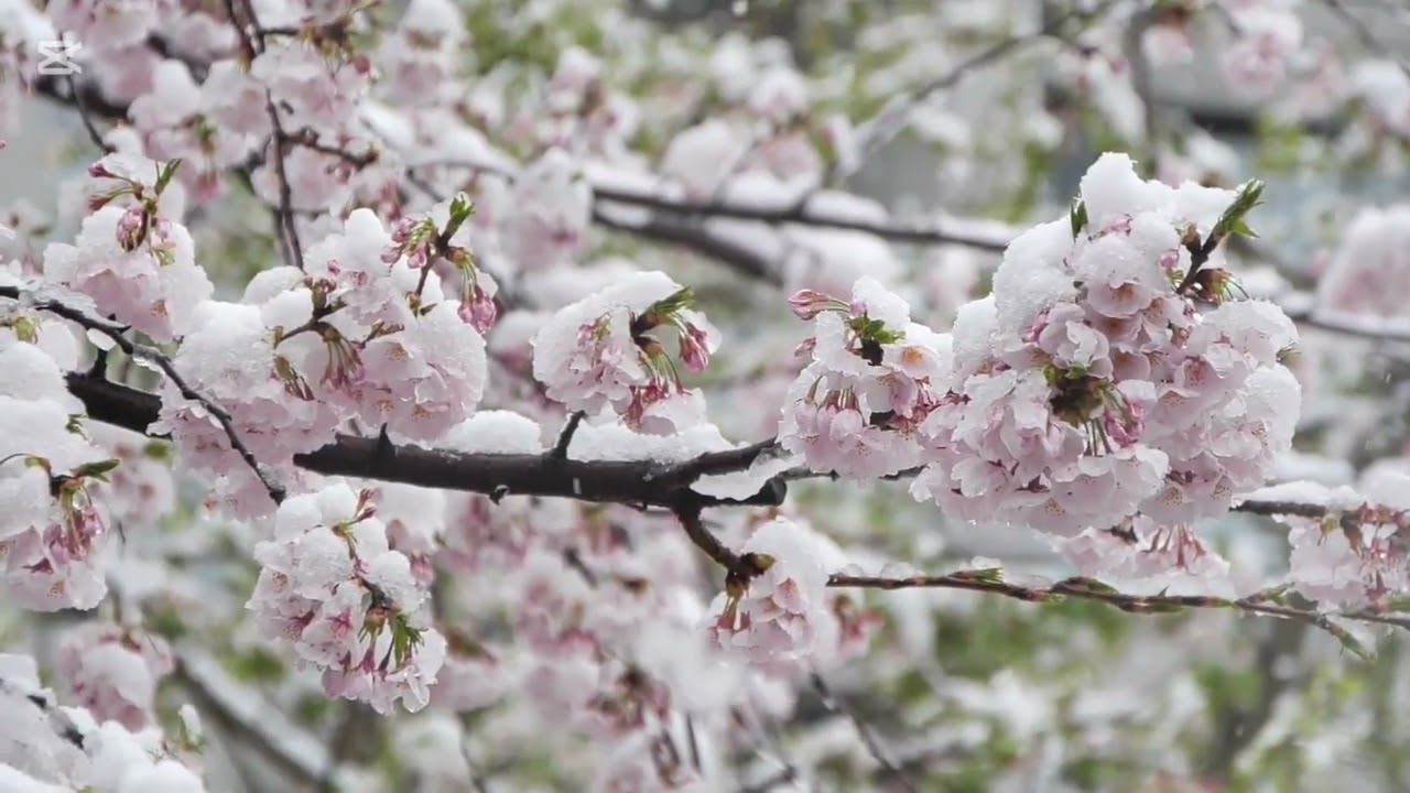 حرري قلبك وفتحي نفسك للأمان والحب والوفرة 
