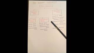CLASSIFICATION OF SPACE INFECTION #dentalnotes #dentistry #surgery #neetpg #inicetmds #bdsshorts