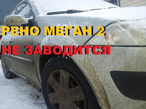 Рено кангу не заводится Рено кангу не заводится