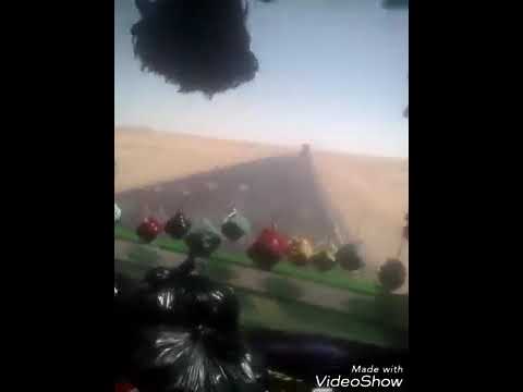 مسمار عمران لي ابوهشام