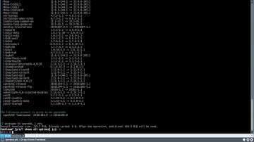 openSUSE tumbleweed on Raspberry Pi 3 (watch in firefox)