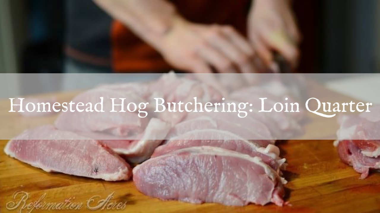 Homestead Hog Butchering Loin Quarter YouTube