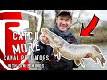 Fishing uk canals great tips for pike and perch fishing on uk canals