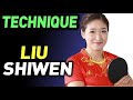 LIU SHIWEN: техника
