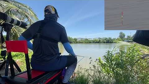 Câu Đài: Luyện giật chuẩn nhịp cá Rô Phi