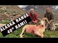S21Ep18: Self Guided Dall Sheep Hunt in Alaska Range!!!