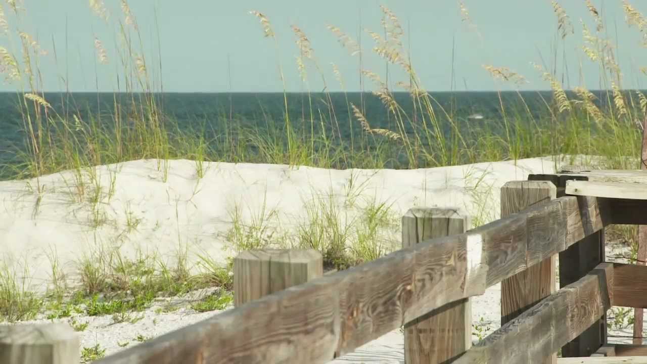 Gulf Commitment: The Beaches alabama abortion 中文