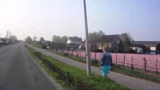 Holland Motorbike Tour: The Dutch Flowers Area