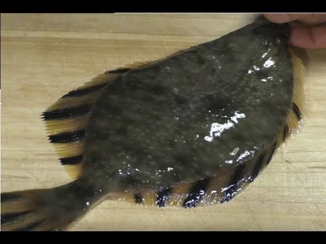 河ガレイ（沼カレイ）　醬油漬け