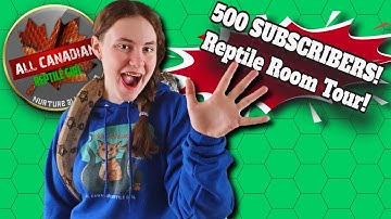 500 SUBCRIBERS! Thank You All So Much! - Updated Reptile Room Tour   #allcanadianreptilegirl