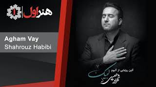 Shahrouze Habibi - Agham Vay | شهروز حبیبی - آقام وای Resimi