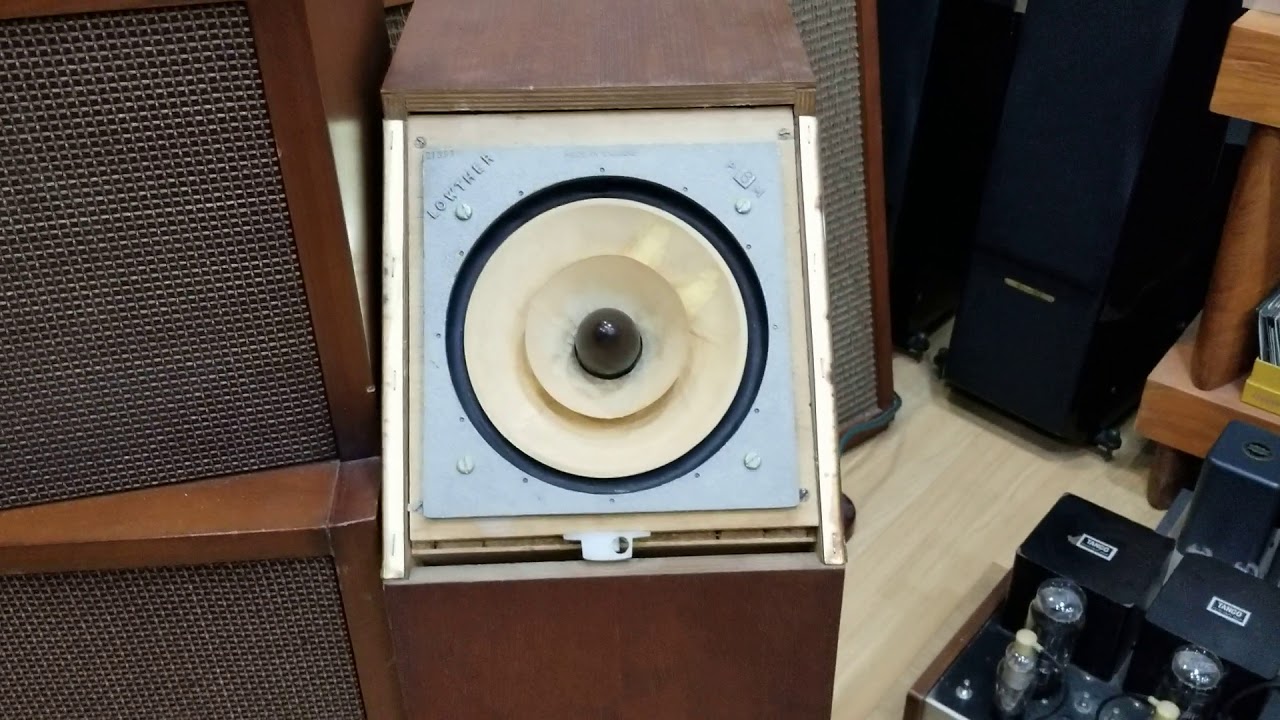 The Dual-Position Acousta LOWTHER P6M