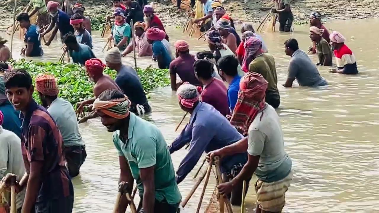 This is a fishing festival in village area 💚