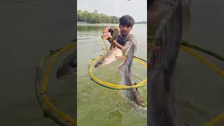 Amazing bamboo stick trap fishing system #fishing #trap #reels #video #shorts #viralvideo #bamboo