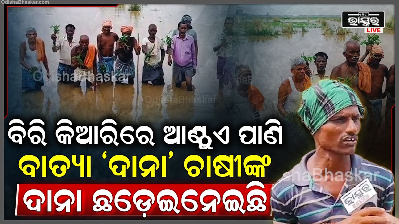 ଏକର ଏକର ଜମି ପାଣିରେ ବୁଡିରହିଛି, ଚାଷୀ ଏବେ ମୁଣ୍ଡରେ ହାତ ଦେଲେଣି, ସାହାଯ୍ୟ ପାଇଁ ସରକାରଙ୍କୁ ଅନୁରୋଧ କରିଛନ୍ତି !