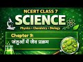 जंतुओं में जैव प्रक्रम | Class 7 NCERT Science | Digestion, Respiration, Circulation