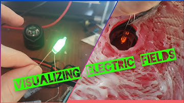 Visualizing electric fields and voltage potential around bifilar coils