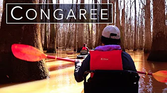 Adventures in Congaree National Park