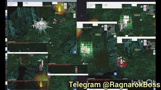 TWRO BOT Ragnarok Online supports all servers official and private 2026