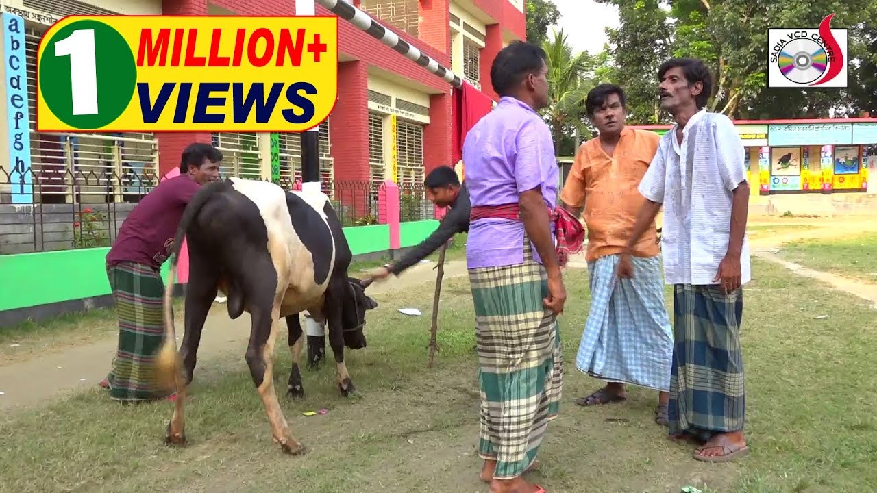 ঈদ আকর্ষণ| রবি চেংগু | কোরবানীর গরুর পা নিয়ে মারামারি | Kurbanir Gurur Pa Niye Maramari | New Koutuk