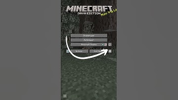How to remove the recording indicator #minecraft #youtubers #replaymod