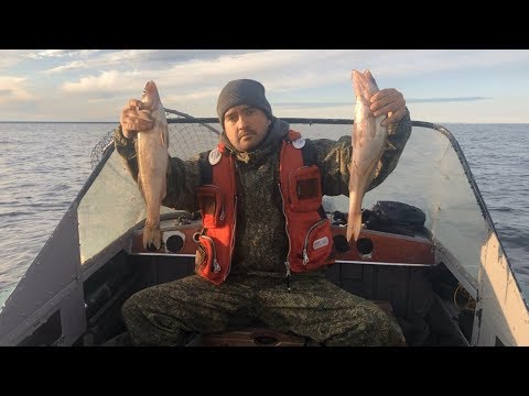 Ночная рыбалка на
