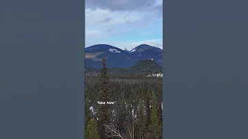 Tiny House Warriors Involved In A Violent Altercation 