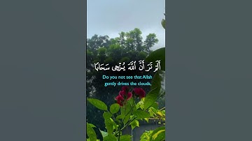 تلاوة خاشعه اسمع بقلبك 🎧#قرآن #quran #اكسبلور #المصحف #راحة_نفسية #تلاوة_خاشعة #لايك #trending