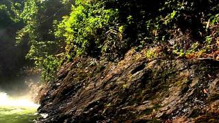 Sungai Gapoi Waterfall - 蜗牛寻瀑迹 Snail-WORKS in Quest of ...