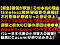 【timelesz猪股周杜が釈放】猪俣逮捕は木村拓哉が原因だった説が浮上！スタッフが証言した「猪俣の異常性」　AdoがK-popイベントで大炎上した理由ヤバい　（TTMつよし