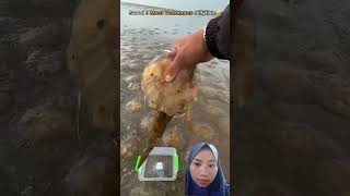 Bantu Aku Like Ya Biar Ubur\