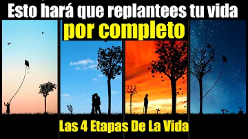 ¿Cuál es la etapa más importante de la vida?