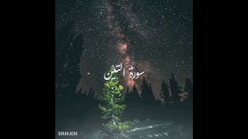 سورة : التين القارئ : سعيد الخطيب