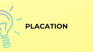 What is the meaning of the word PLACATION?