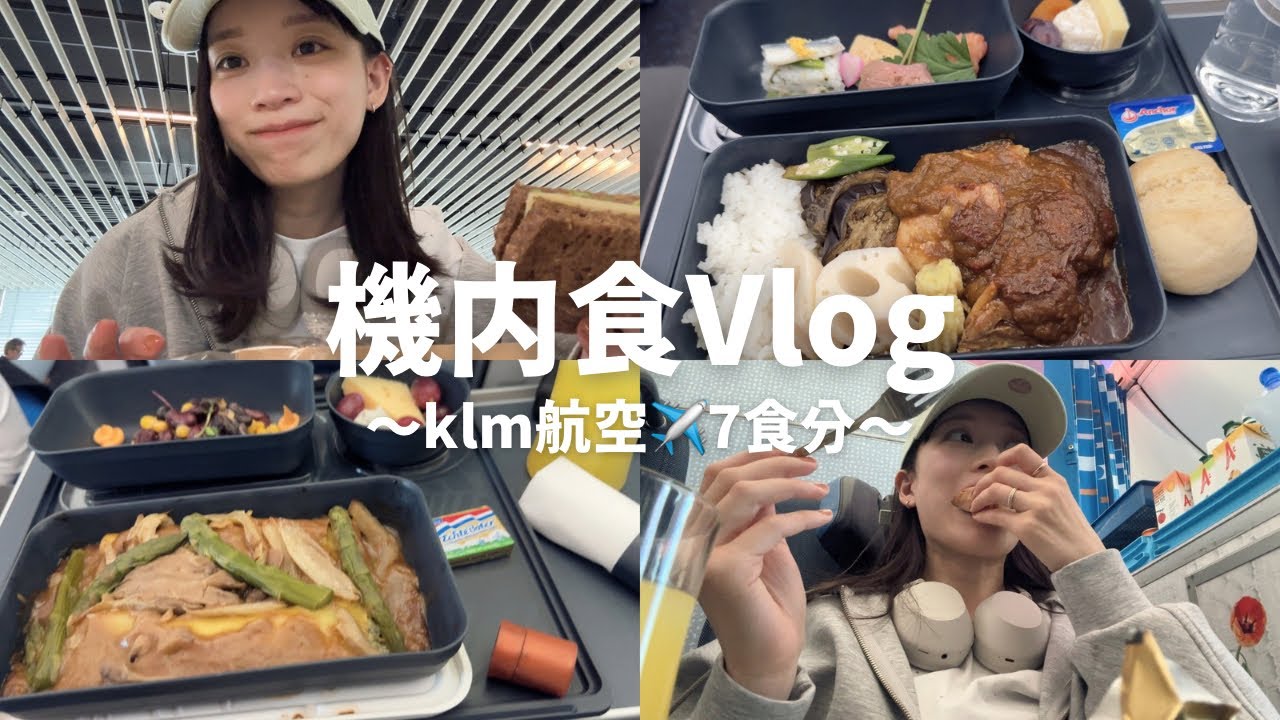 【機内食Vlog】弾丸帰国！klm航空機内食✈️7食+おまけつき