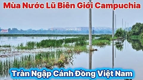 Nước Lũ Campuchia Tràn Về " Ngập Cả Cánh Đồng Khu Biên Giới Việt Nam