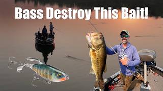 Explosive Topwater Bass Fishing With The Rapala Claptail | Jeremy Smith & Jeff Simpson