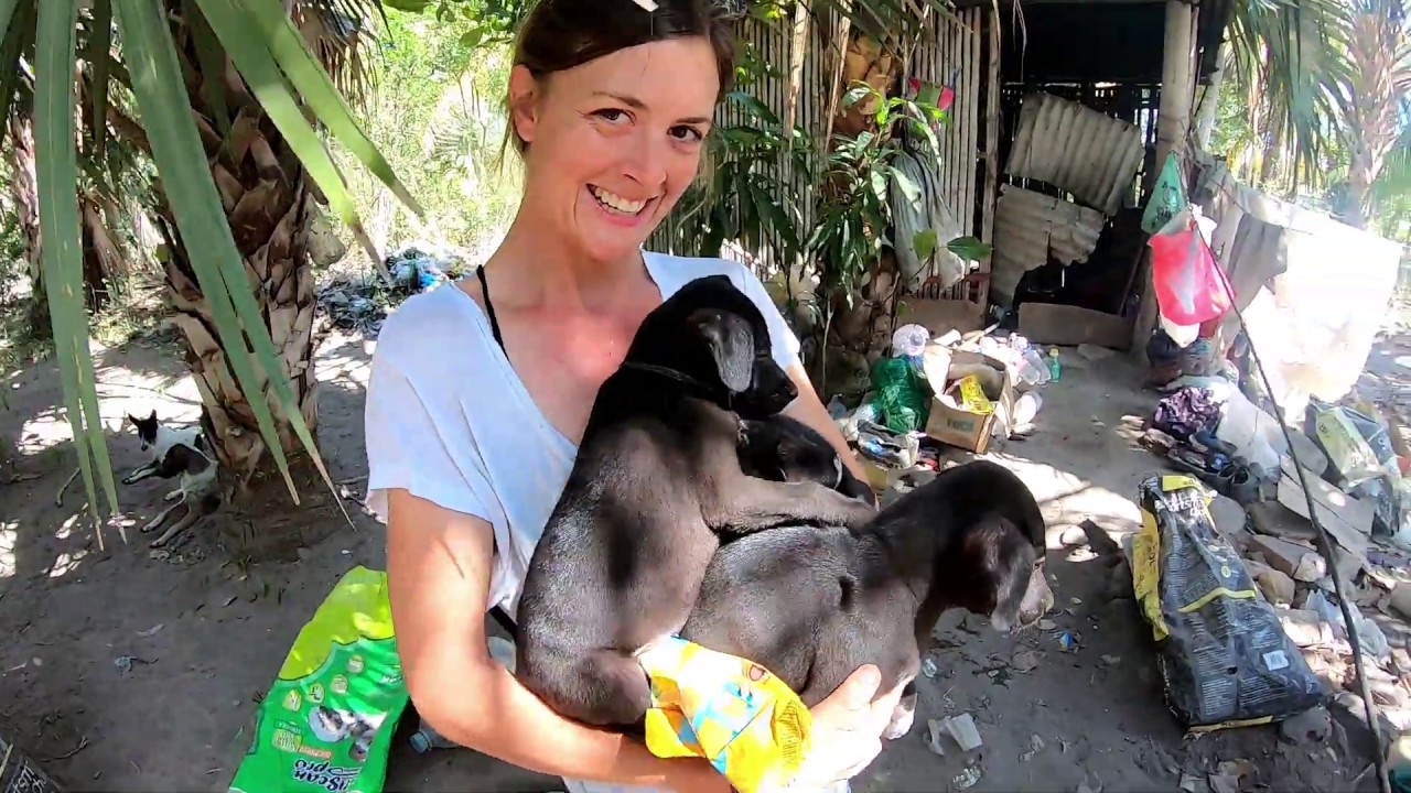 PRECOVID... Paint and Puppies! Chuffed Adventures S03Ep13
