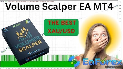 Volume Scalper EA MT4 Review + Setting | EA Forex Store